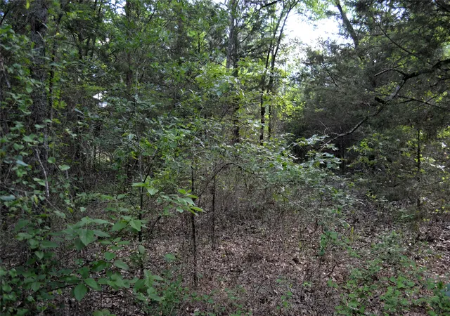 Photo 3 of Land for sale at 760 Vz County Rd #2315, Eustace, TX 75124 | MLS# 20878384 | Listing updated on 2026-08-24