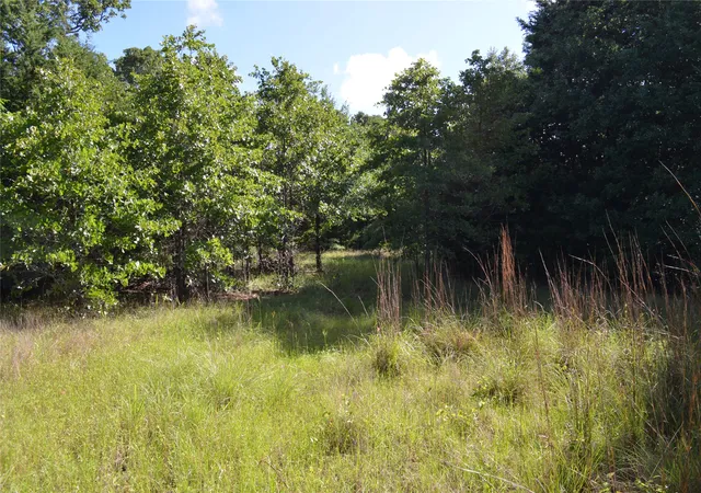 Photo 3 of Land for sale at 760 Vz County Rd #2315, Eustace, TX 75124 | MLS# 20878384 | Listing updated on 2026-08-24