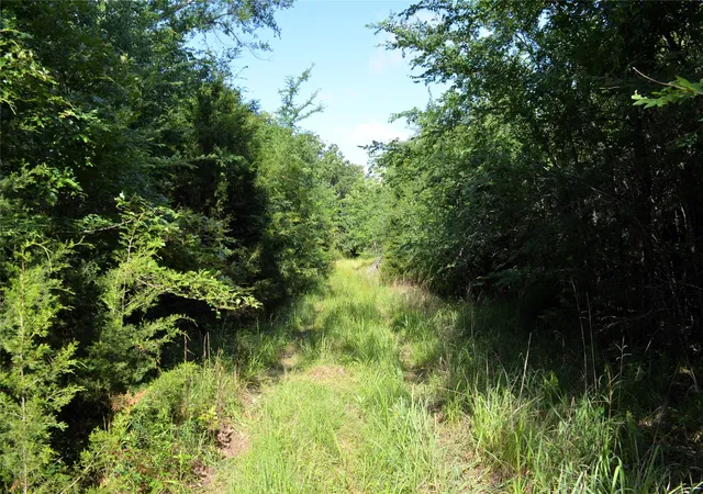 Photo 4 of Land for sale at 760 Vz County Rd #2315, Eustace, TX 75124 | MLS# 20878384 | Listing updated on 2026-08-24