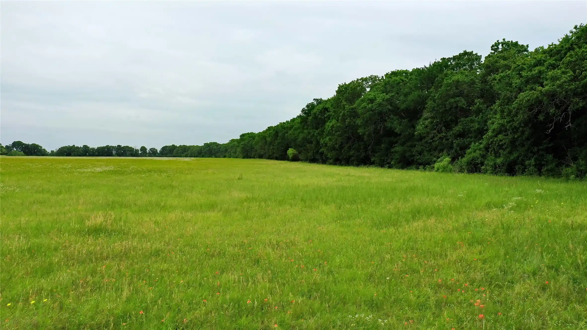Photo 1 of Land for sale at Tbd County Road 1242, Cleburne, TX 76033 | MLS# 20876909 | Listing updated on 2026-07-02