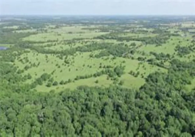 Land for sale at Tbd 22.494 County Road 703, Farmersville, TX 75442 | MLS# 20846938