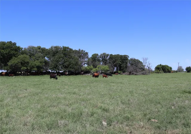 Homes for sale in Henrietta, TX | 296 Acres Deer Creek Rd, Henrietta, TX 76365 | MLS# 20883849