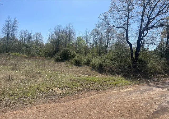 Photo 1 of Land for sale at Tbd Cr 124, Centerville, TX 75833 | MLS# 20885000 | Listing updated on 2026-08-17