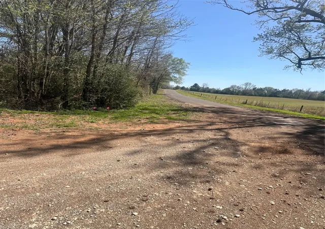 Photo 3 of Land for sale at Tbd Cr 124, Centerville, TX 75833 | MLS# 20885000 | Listing updated on 2026-08-17