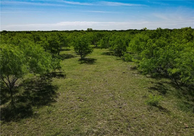 Homes for sale in Dawson, TX | 0000 Cr 4120 Rd, Dawson, TX 76639 | MLS# 229277