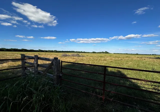 Photo 3 of House for sale at 23 +/- Acres County Rd 4815, Leonard, TX 75452 | MLS# 20893100 | Listing updated on 2026-09-29