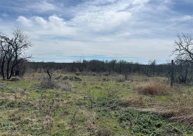 Homes for sale in Cisco, TX | 9009 Hwy 6, Cisco, TX 76437 | MLS# 20894926