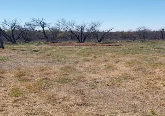 Homes for sale in Cisco, TX | 9009 Hwy 6, Cisco, TX 76437 | MLS# 20894926