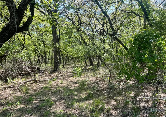 Photo 2 of Land for sale at Tbd Griffin St Griffin St, Azle, TX 76020 | MLS# 20892320 | Listing updated on 2026-09-05