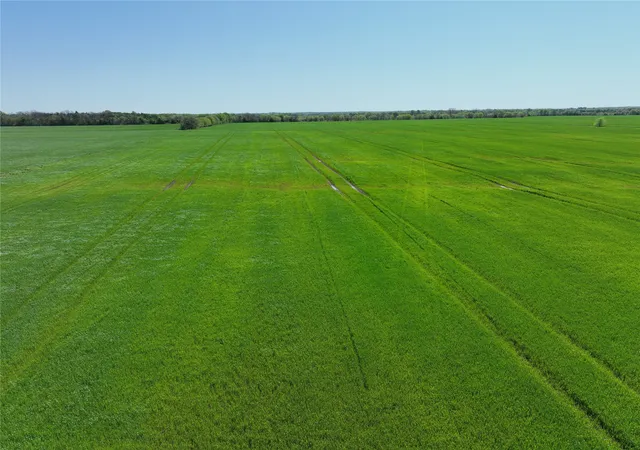 Homes for sale in Petty, TX | 0001 County Road 26850, Petty, TX 75470 | MLS# 20896623