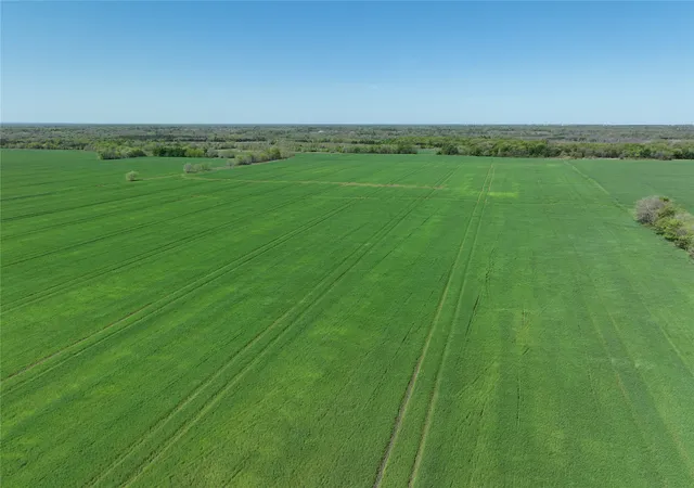 Homes for sale in Petty, TX | 0001 County Road 26850, Petty, TX 75470 | MLS# 20896623