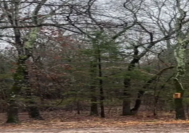 Photo 2 of Land for sale at 1291 Rs Cr 1150, Emory, TX 75440 | MLS# 20903607 | Listing updated on 2026-07-17