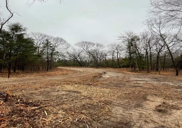 Photo 3 of Land for sale at 1291 Rs Cr 1150, Emory, TX 75440 | MLS# 20903607 | Listing updated on 2026-07-17