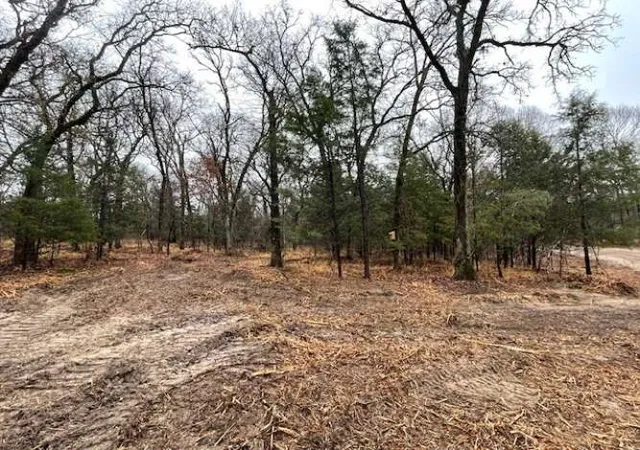 Photo 4 of Land for sale at 1291 Rs Cr 1150, Emory, TX 75440 | MLS# 20903607 | Listing updated on 2026-07-17