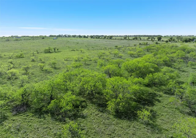 Homes for sale in Riesel, TX | Tbd 7 Mile Ln, Riesel, TX 76682 | MLS# 20904681