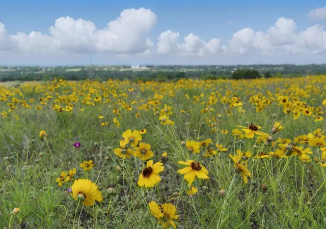 Photo 3 of Land for sale at 4500 White Settlement Rd, Weatherford, TX 76087 | MLS# 20909966 | Listing updated on 2026-08-19