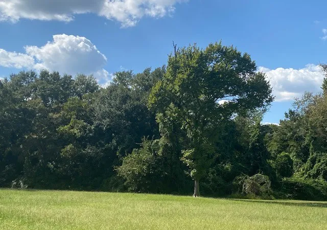 Land for sale at Tbd 3Rd St, Athens, TX 75751 | MLS# 20906511