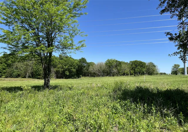 Photo 2 of Land for sale at 345 Wildflower Way, Dodd City, TX 75438 | MLS# 20911322 | Listing updated on 2026-10-06