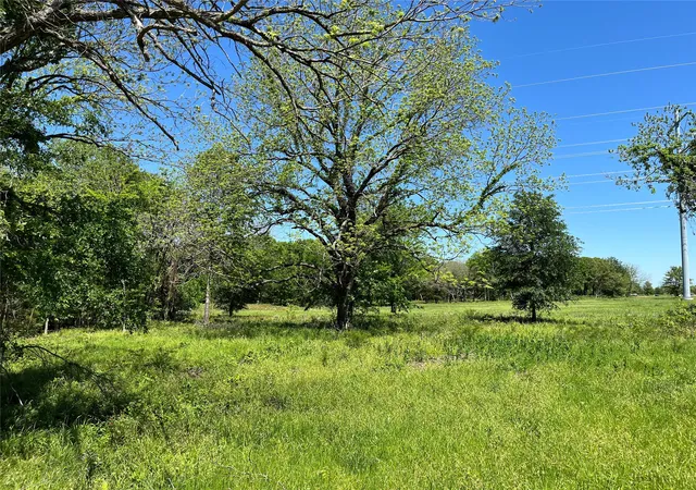 Photo 4 of Land for sale at 345 Wildflower Way, Dodd City, TX 75438 | MLS# 20911322 | Listing updated on 2026-10-06