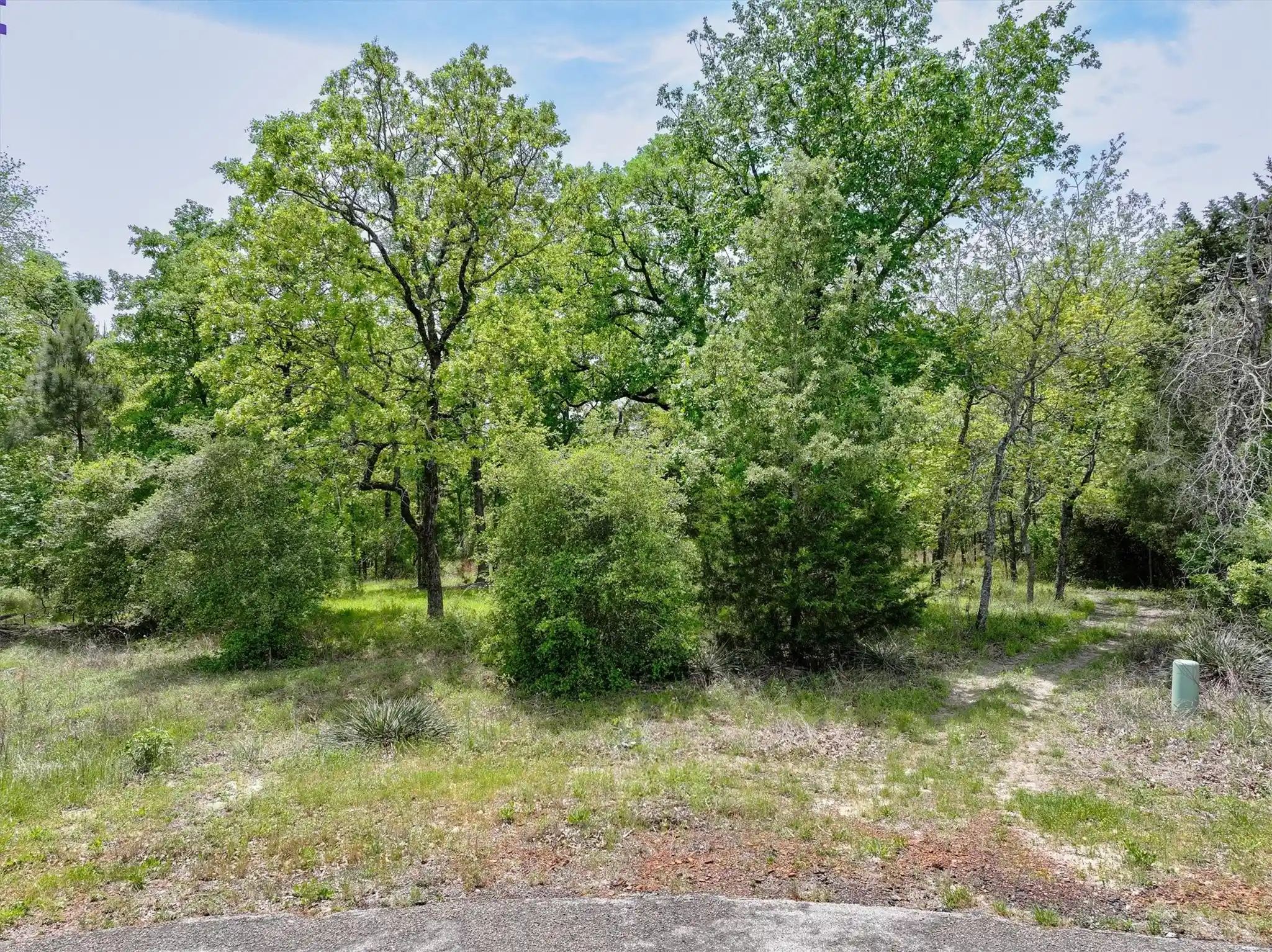 Photo 1 of Land for sale at 8950 Timber Rdg, Larue, TX 75770 | MLS# 20913288 | Listing updated on 2026-04-29