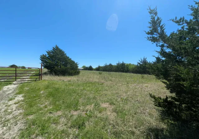 Photo 3 of Land for sale at 11008 County Road 670, Blue Ridge, TX 75424 | MLS# 20914878 | Listing updated on 2026-07-22