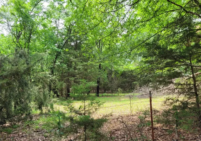 Homes for sale in Clarksville, TX | Tbd Cr 3145, Clarksville, TX 75426 | MLS# 20917035