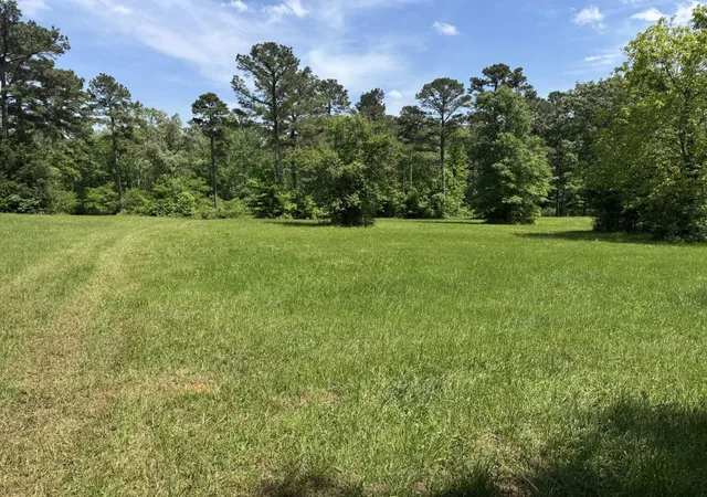 Homes for sale in Henderson, TX | 16649 County Road 4252D, Henderson, TX 75654 | MLS# 20917840