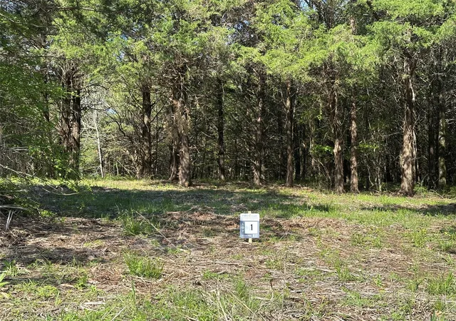 Photo 3 of Land for sale at Tract 1 Farm To Market 1743, Honey Grove, TX 75446 | MLS# 20922641 | Listing updated on 2026-07-27
