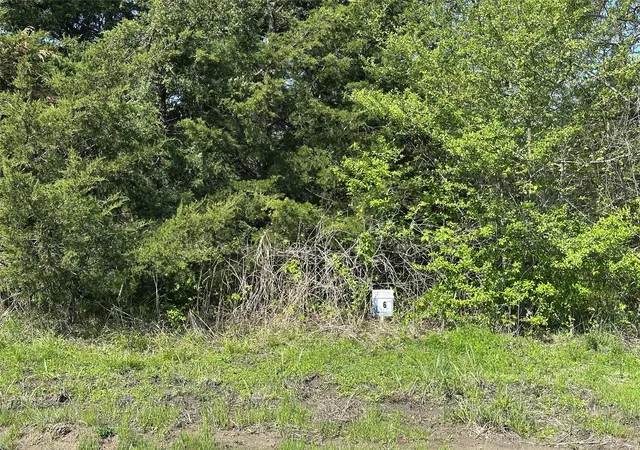 Homes for sale in Honey Grove, TX | Tract 6 Farm To Market 1743, Honey Grove, TX 75446 | MLS# 20924342