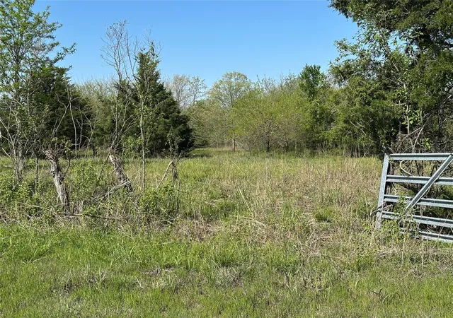Homes for sale in Honey Grove, TX | Tract 6 Farm To Market 1743, Honey Grove, TX 75446 | MLS# 20924342