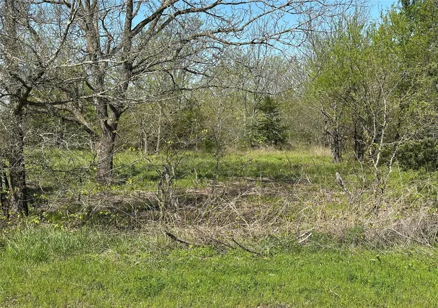 Homes for sale in Honey Grove, TX | Tract 7 Farm To Market 1743, Honey Grove, TX 75446 | MLS# 20924355