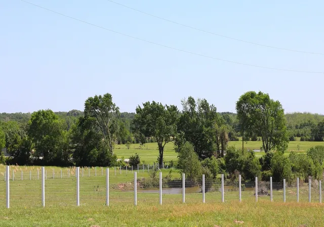 Photo 3 of Land for sale at 1140 Lot 2 Cr-3412, Chandler, TX 75758 | MLS# 20926153 | Listing updated on 2026-09-28