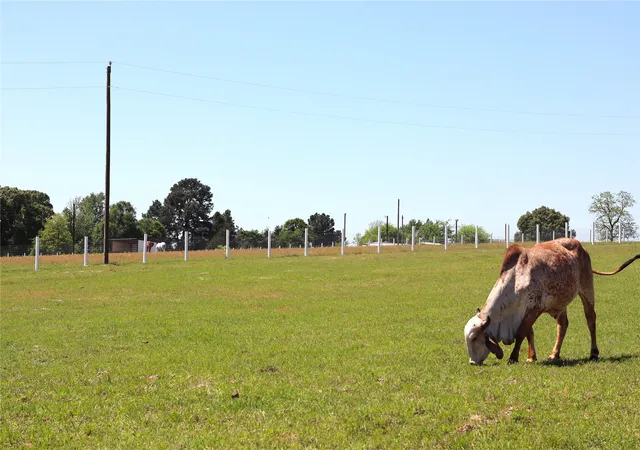 Photo 4 of Land for sale at 1140 Lot 2 Cr-3412, Chandler, TX 75758 | MLS# 20926153 | Listing updated on 2026-09-28