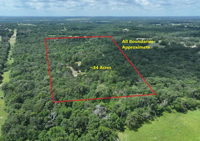 Homes for sale in Fairfield, TX | Tbd Cr 431 Rd, Fairfield, TX 75840 | MLS# 20927447