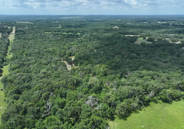 Homes for sale in Fairfield, TX | Tbd Cr 431 Rd, Fairfield, TX 75840 | MLS# 20927447