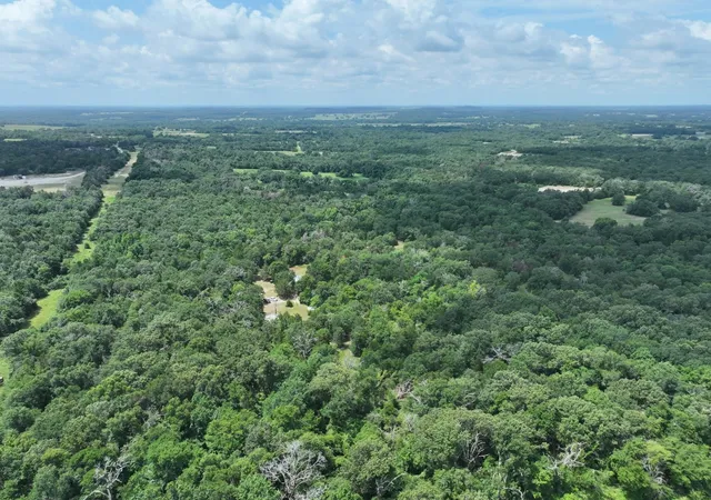 Homes for sale in Fairfield, TX | Tbd Cr 431 Rd, Fairfield, TX 75840 | MLS# 20927447