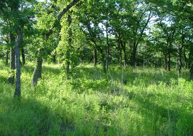 Homes for sale in Chico, TX | Lot 263 Ridgeline Dr, Chico, TX 76431 | MLS# 20928429