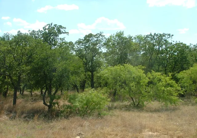 Homes for sale in Chico, TX | Lot 263 Ridgeline Dr, Chico, TX 76431 | MLS# 20928429