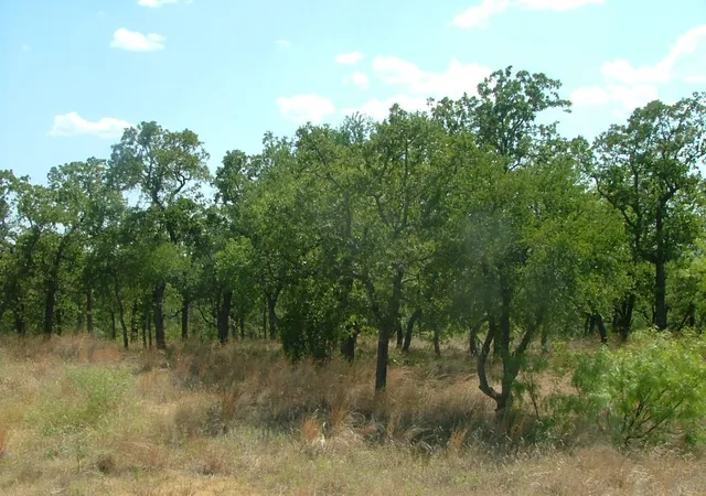 Homes for sale in Chico, TX | Lot 263 Ridgeline Dr, Chico, TX 76431 | MLS# 20928429