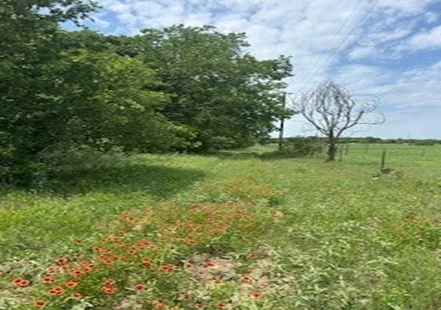 Homes for sale in De Leon, TX | 322 County Road 146, De Leon, TX 76444 | MLS# 20928744