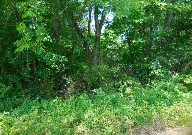 3rd image of 38 Acre Garrett Ave, East Tawakoni, TX 75472 | MLS# 20931398