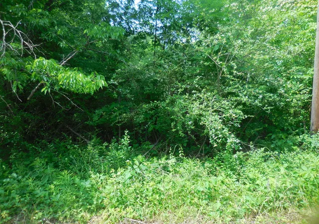 4th image of 38 Acre Garrett Ave, East Tawakoni, TX 75472 | MLS# 20931398