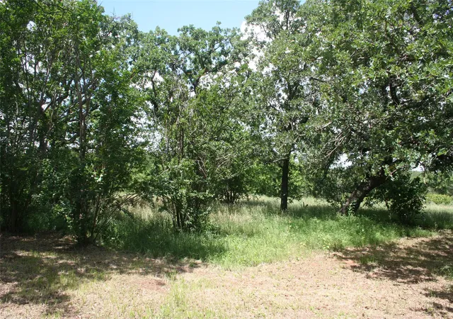 Photo 1 of Land for sale at 215 Buzbee Rd, Palo Pinto, TX 76484 | MLS# 20932166 | Listing updated on 2026-09-03