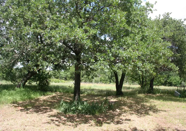 Photo 3 of Land for sale at 215 Buzbee Rd, Palo Pinto, TX 76484 | MLS# 20932166 | Listing updated on 2026-09-03