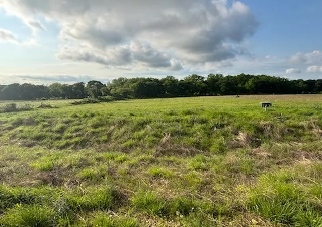 Homes for sale in Hillsboro, TX | Tbd Hill Creek Ln, Hillsboro, TX 76645 | MLS# 20932504