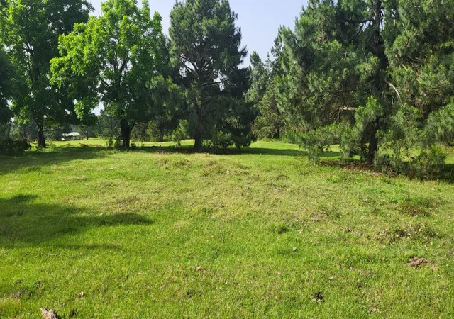 Photo 1 of Land for sale at Tbd Cr 1176, Sulphur Springs, TX 75482 | MLS# 20938137 | Listing updated on 2026-07-23