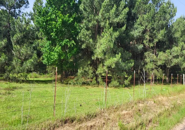 Photo 4 of Land for sale at Tbd Cr 1176, Sulphur Springs, TX 75482 | MLS# 20938137 | Listing updated on 2026-07-23