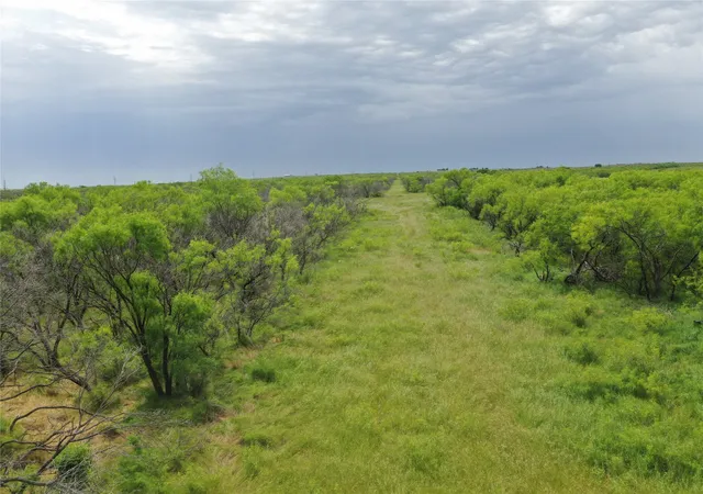 Homes for sale in Bellevue, TX | Tbd Fm 2321 Tract 2, Bellevue, TX 76228 | MLS# 20939605