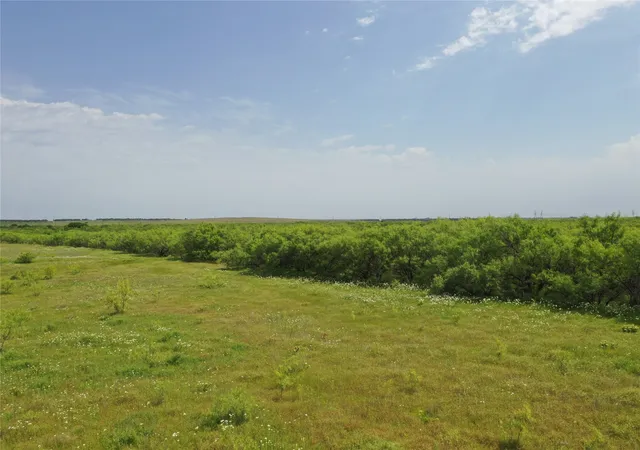 Homes for sale in Bellevue, TX | Tbd Fm 2321-Tract 1, Bellevue, TX 76228 | MLS# 20939641