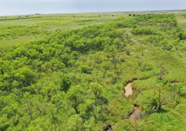Homes for sale in Bellevue, TX | Tbd Davis Ln Tract 9, Bellevue, TX 76228 | MLS# 20939687